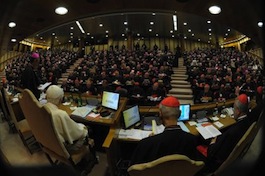 La Asamblea sinodal.