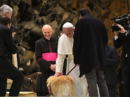 El Papa Bergoglio acaricia al perro guía <br>de un periodista ciego.