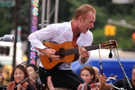 Sting durante un concierto.